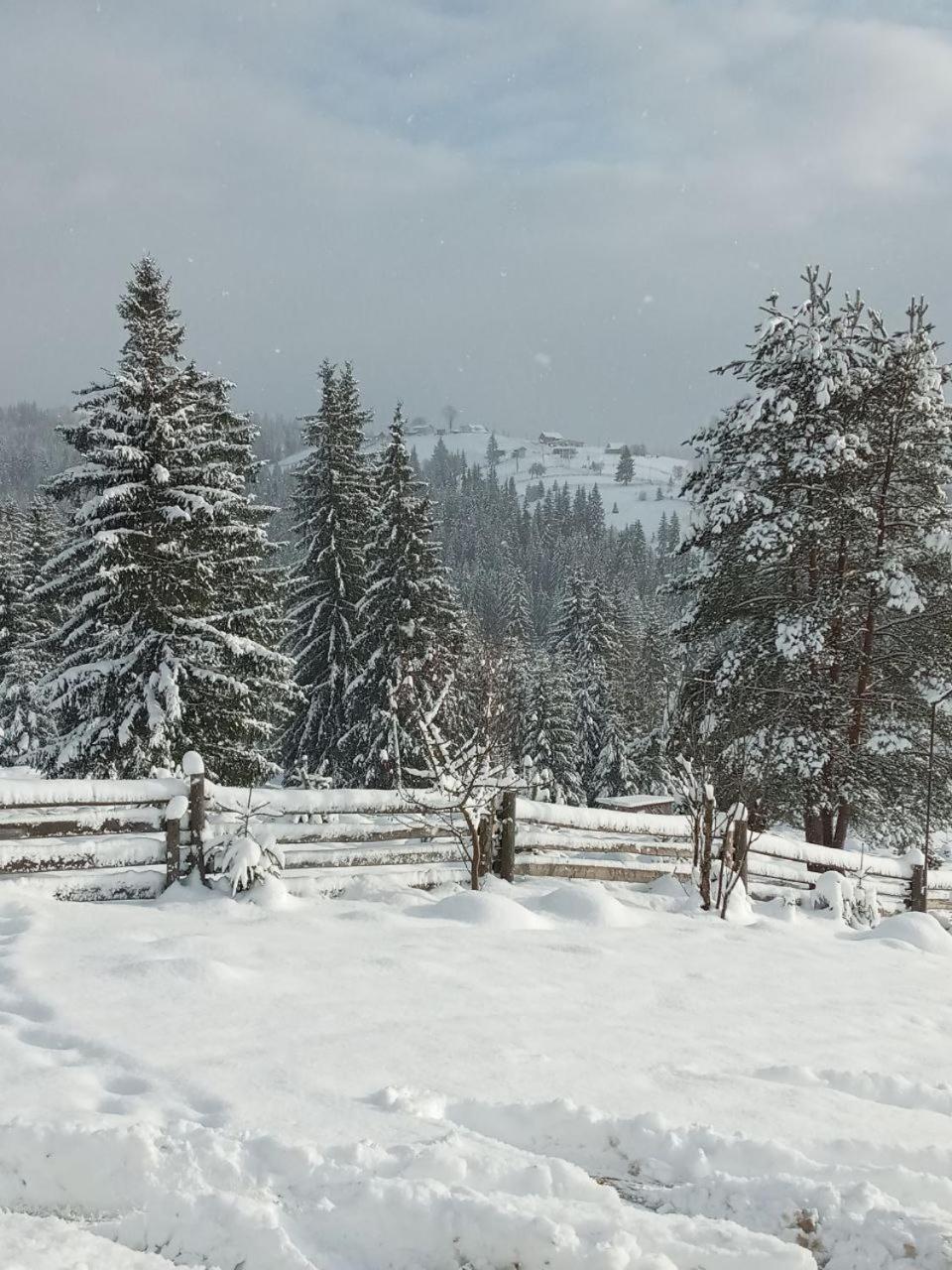 Котеджі Зоряне Небо Boekovel Buitenkant foto