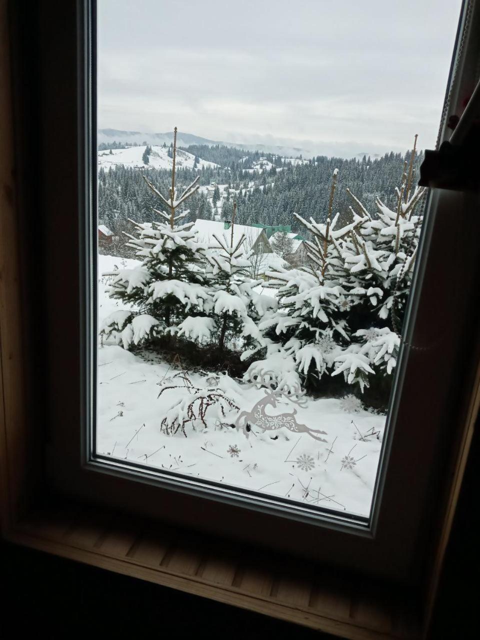 Котеджі Зоряне Небо Boekovel Buitenkant foto