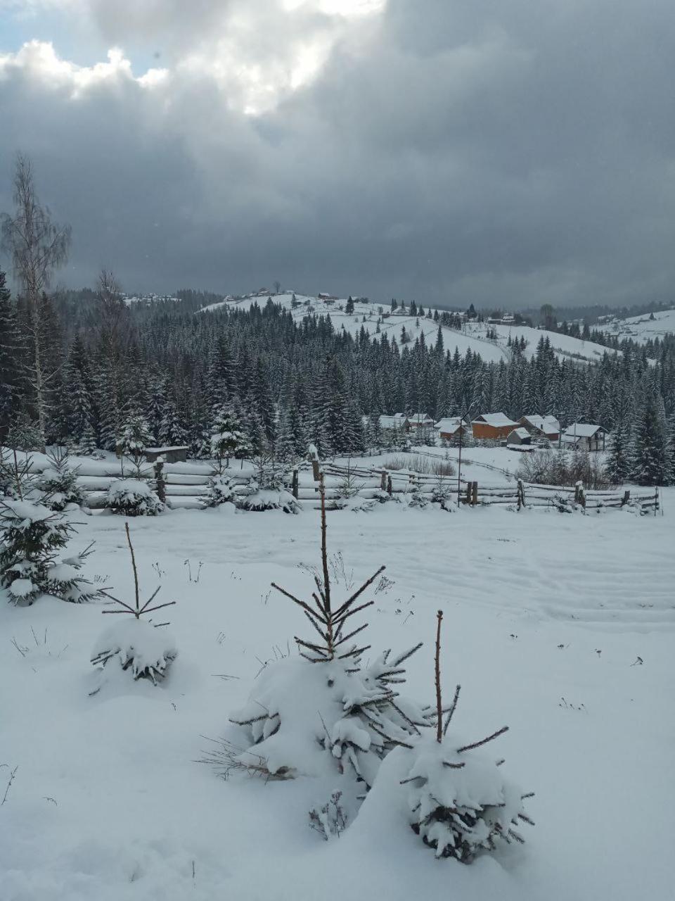 Котеджі Зоряне Небо Boekovel Buitenkant foto